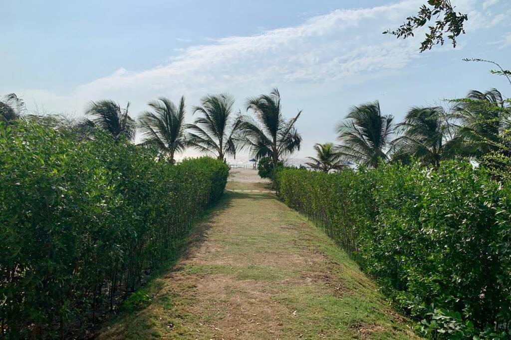 Cartagena, Gran Experiencia Frente Al Mar A 20 Minutos Del Centro Historico Y 13 Minutos Del Aeropuerto Daire Dış mekan fotoğraf